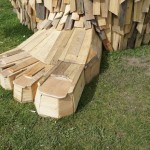 11222393_907035979361160_2653867276949775979_o