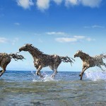 Sculptures-de-Chevaux-en-Bois-Flotte-par-James-Doran-Webb-03