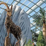 driftwood-animal-sculptures-jame-doran-webb-2