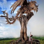 driftwood-dragon-sculptures-james-doran-webb-2