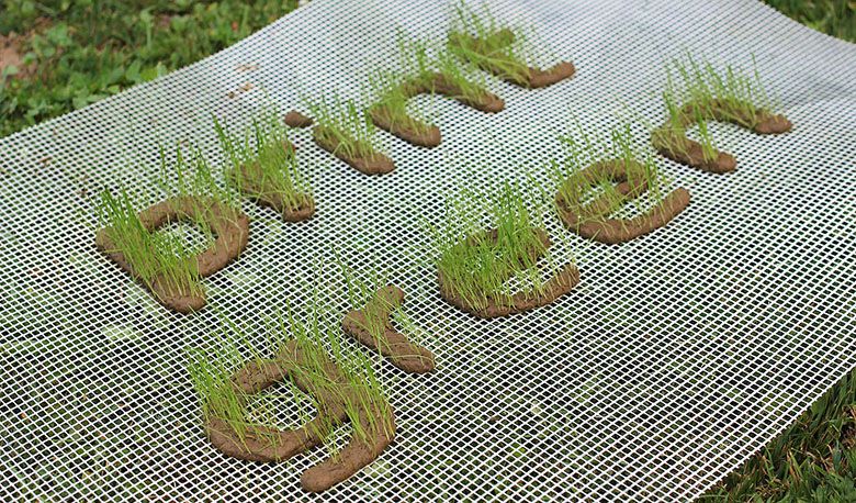 print-green-3d-printing-growing-grass-5