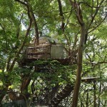 risonare-atami-treehouse-by-hiroshi-nakamura-1