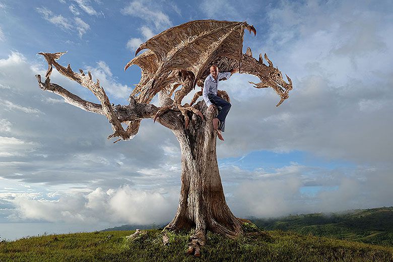 sculptures-driftwood-dragon-wyvern-james-doran-webb-7
