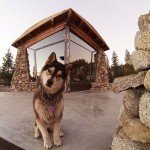 truckee-off-grid-cabin-9