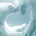 825116012_fc7ce0a4e3_b