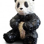 SAMSUNG DIGITAL CAMERA