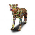 SAMSUNG DIGITAL CAMERA