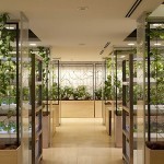 b26ae6299b804191b50070feaecb6f23