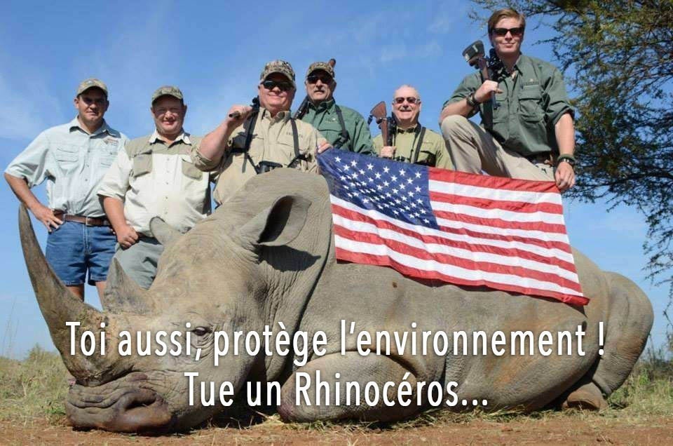 because-of-poaching-and-trophy-hunting-the-rhino-is-nearly-gone-photo-u1 copy