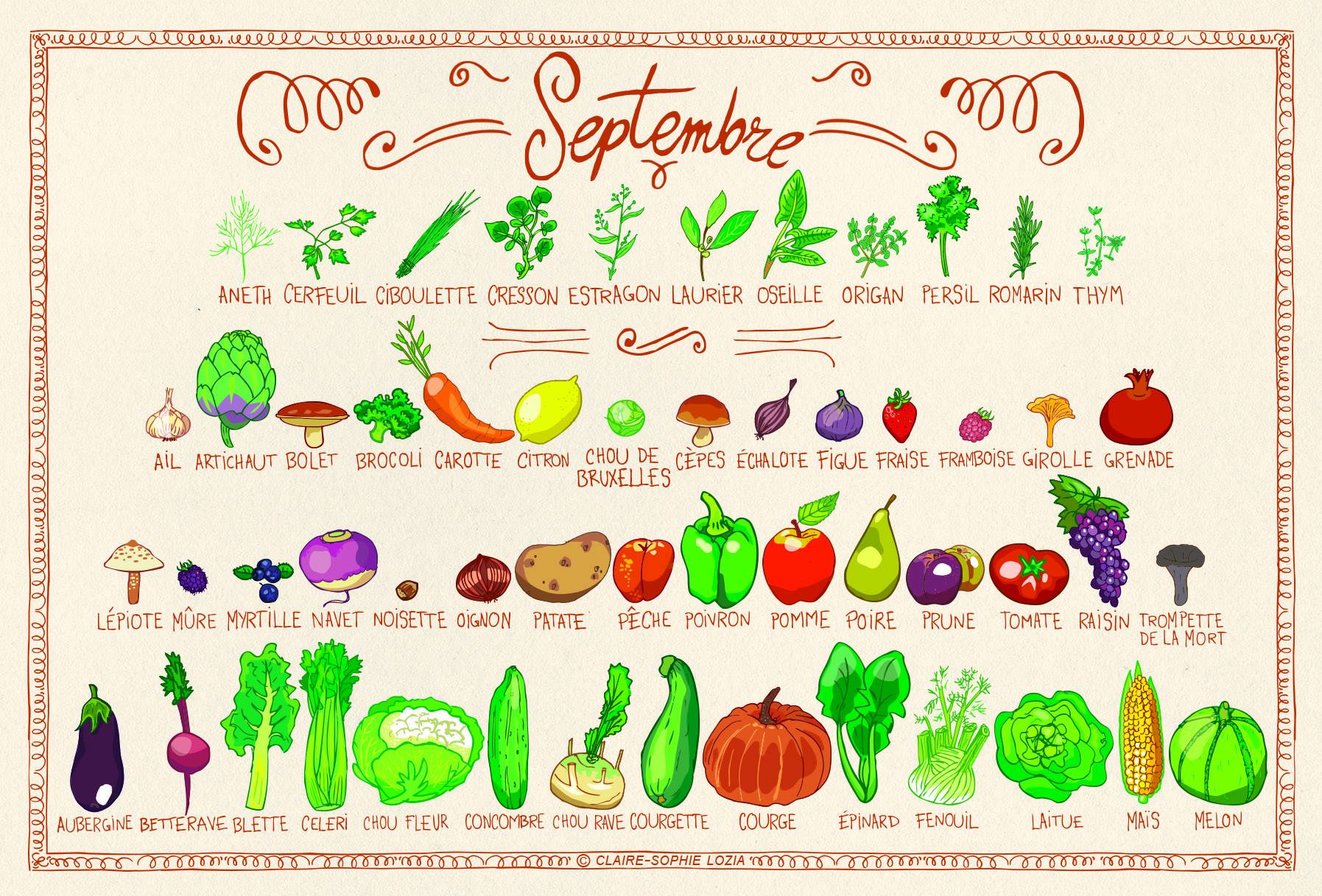 Résultat de recherche d'images pour "légumes saison septembre"