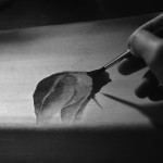 327cdc73fe68870f818a30669df86aca