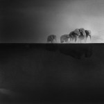 Peaceful-Black-and-White-Watercolor-Paintings-of-Children-and-Animal__880