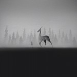 animals-children-black-and-white-watercolor-art-elicia-edijanto-2