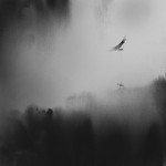 f5222dcd28d573094e59f4662ce5e037