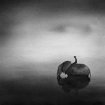 fd18cbdbcfa048e39c2c943b72a89e79