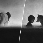 ink_black_animals_elicia_edijanto