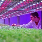 philips-growwise-city-farming-research-center@2x