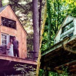 wee_house_alternative