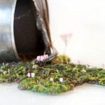 10448830_602897399817875_128162827772078056_n