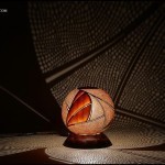 11087725_951838068180419_5822417888482895967_o