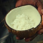 Photos – Paama, Vanuatu