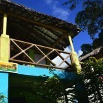 Photos – Paama, Vanuatu (6)