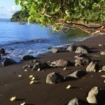 Photos – Paama, Vanuatu (8)
