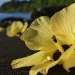 Photos – Paama, Vanuatu (9)