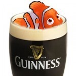 guinness-fish-bladder-nemo