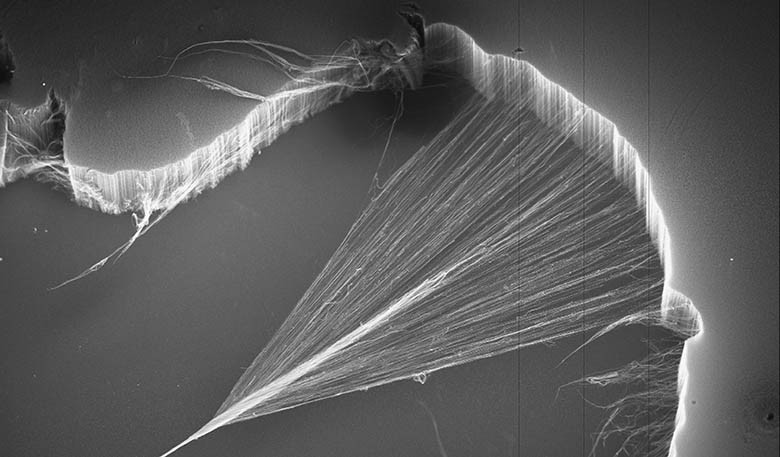 CSIRO_ScienceImage_1074_Carbon_nanotubes_being_spun_to_form_a_yarn
