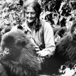 Dian Fossey