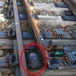 turtle-tunnel-train-track-safety-japan-railways-2