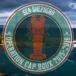 Sea Shepherd Cap Roux