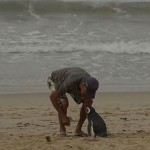 06_pengouin_dindim_joao