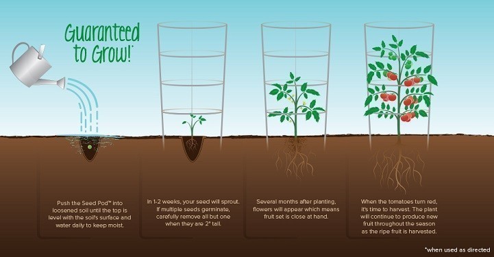 01_plant_grow_pot