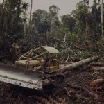 deforestation_congo