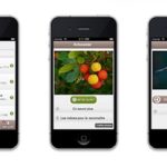 ecobalade-application-smartphone-randonnee-paca copy