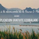 ecobalade, l’appli pour Fb et tumblr