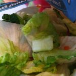 salad_plastique