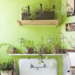 10_appartement_plantes