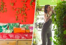 Cette new-yorkaise cultive plus de 500 plantes dans son appartement