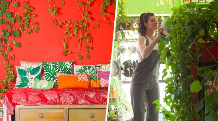 Cette new-yorkaise cultive plus de 500 plantes dans son appartement