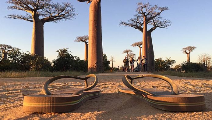 "Ce tour du monde à pied a changé ma vie" Récit inspirant de Enzo, 21 ans