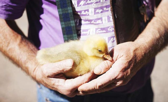 À Cape Town, une communauté autonome résiste contre l’expulsion