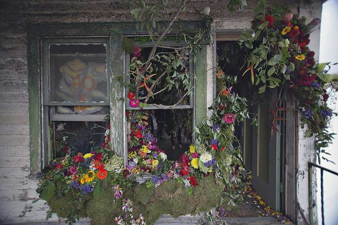 36.000 fleurs redonnent vie à une ruine de Detroit