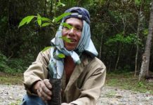 Quand la microfinance aide les forêts à se régénérer