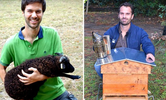 Du mouton à l'abeille : 3 français lancent leurs projets pour responsabiliser les entreprises