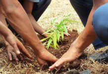 366 solutions listées pour réinventer notre monde !