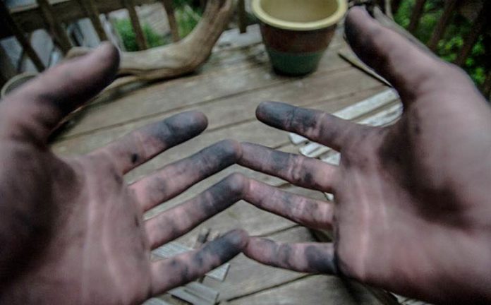 Coupés du monde : miracles et désillusions d'une vie dans les bois