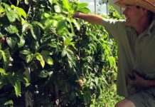 Cet homme a quitté la finance pour ouvrir une ferme en permaculture